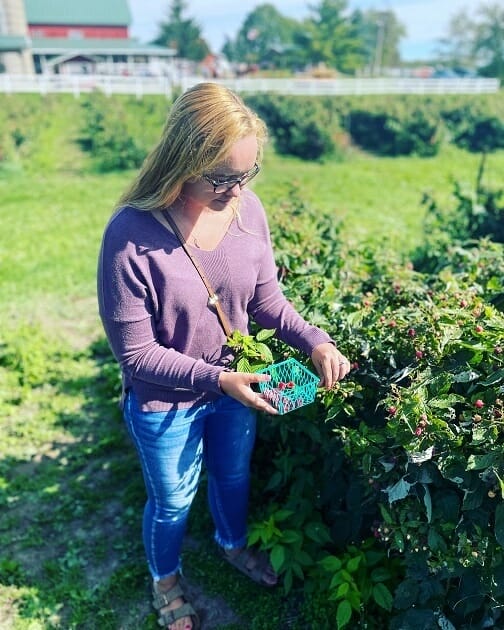 Eplegaarden Farm Wisconsin - Raspberry Picking