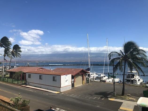 View of the water in Lahaina. Boathouse and boats, palm trees, and mountains in the background. 