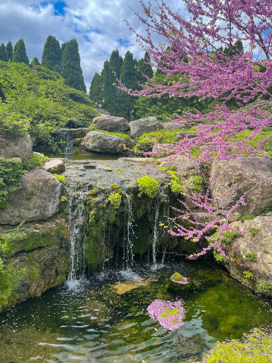 Rock garden with water overflowing surround by green and pink flowers. 