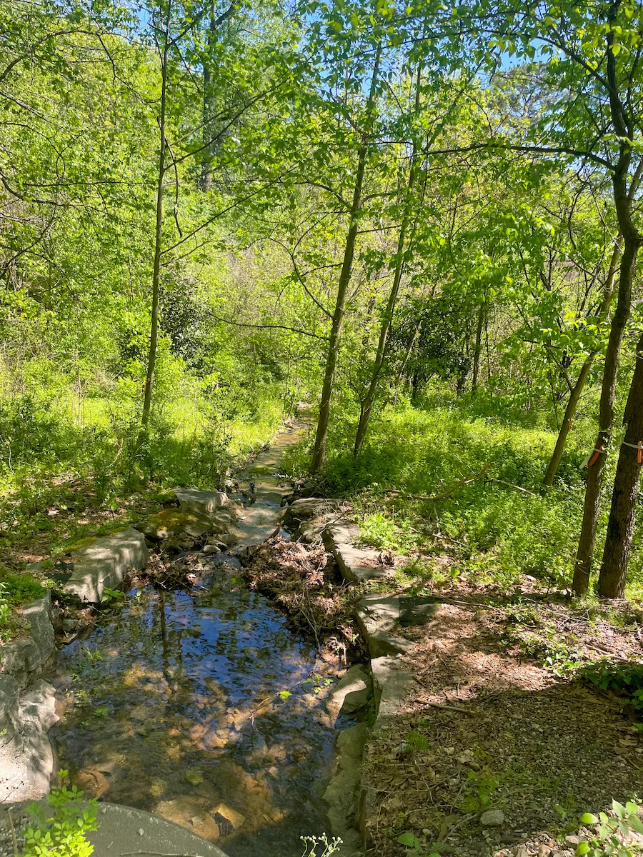 Piedmont Park Stream