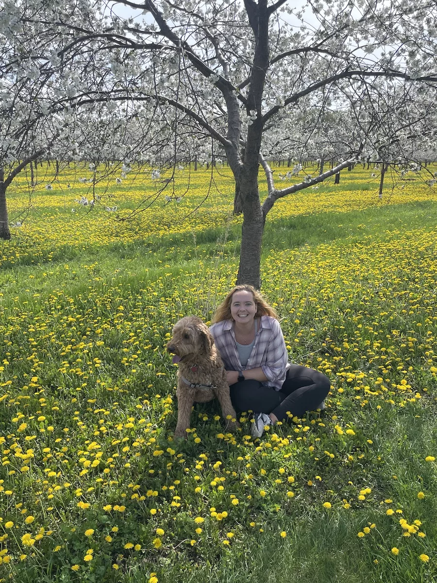 Lady and Dog surrounded by cherry blossoms in Door County, Wisconsin 