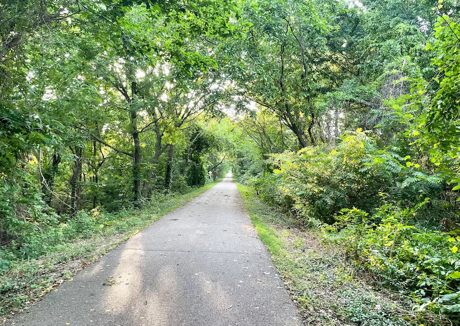 Paved bike path surrounded by thick green trees in Springfield, MO 