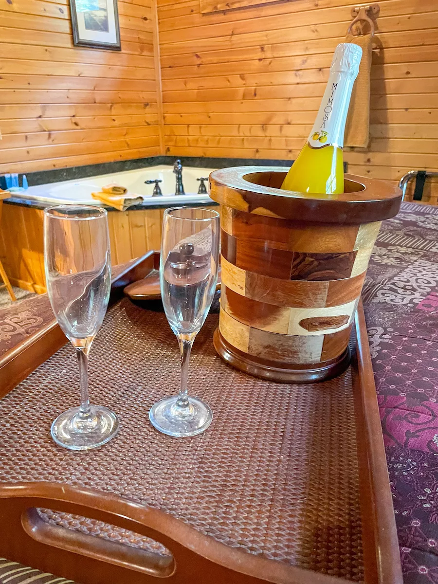 Champagne and two glasses with view of a whirlpooltub. 