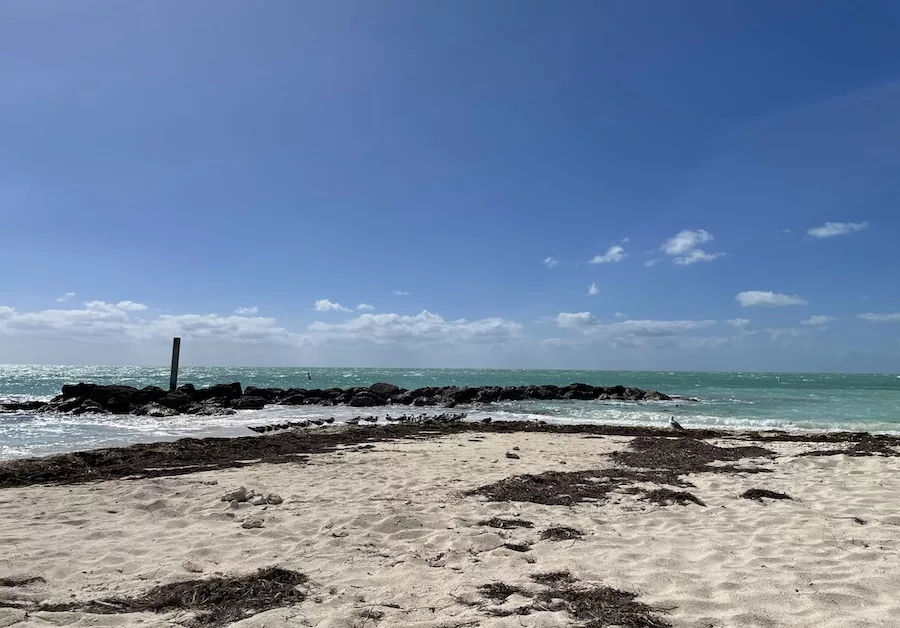 Fort Zachary Taylor Historic Beach in Key West with view of seaweed-covered beach and blue ocean water. 