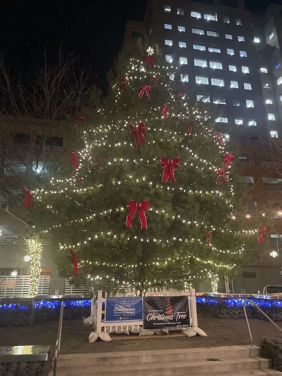 Holiday Events in Downtown Davenport - Christmas Tree lit up in Kaiserslautern Square at night 