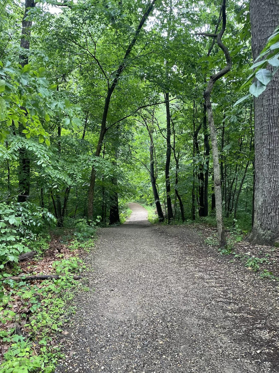 Image of crushed trail surrounded by tall trees with green leaves in Rock Creek Park - Washington DC Itinerary