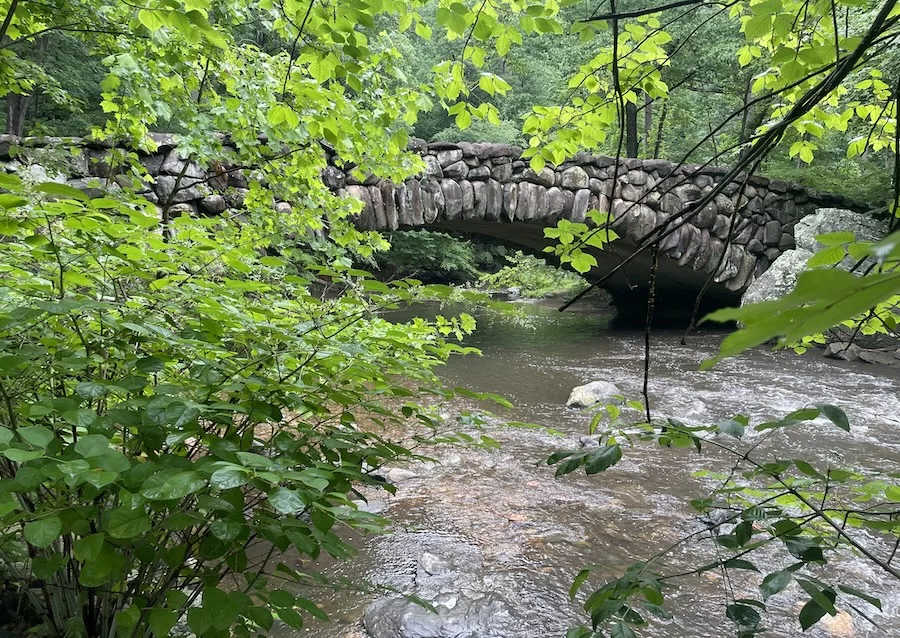 Image of a stone bridge in Rock Creek Park with water flowing underneath and green foliage surrounding the bridge. 