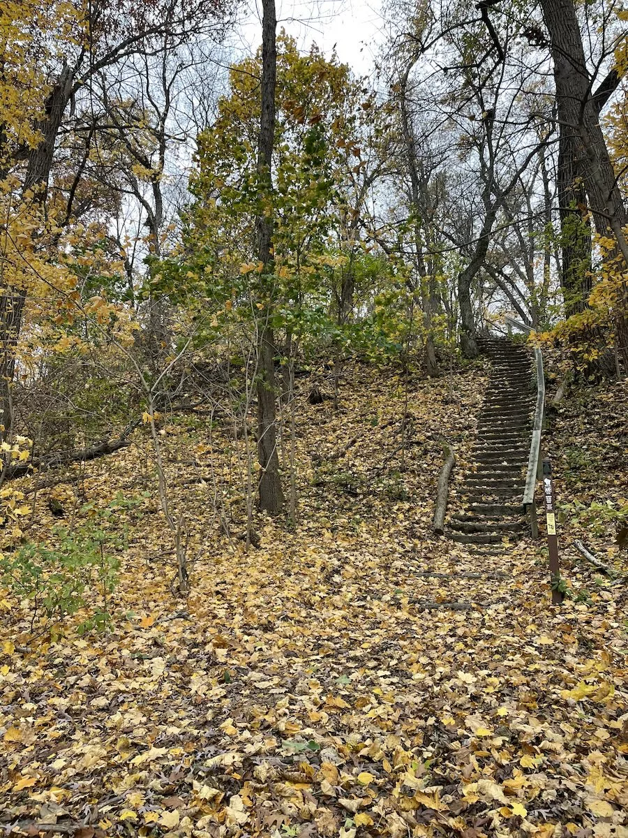 Devil's Staircase - Ice Age Trail - Janesville, WI