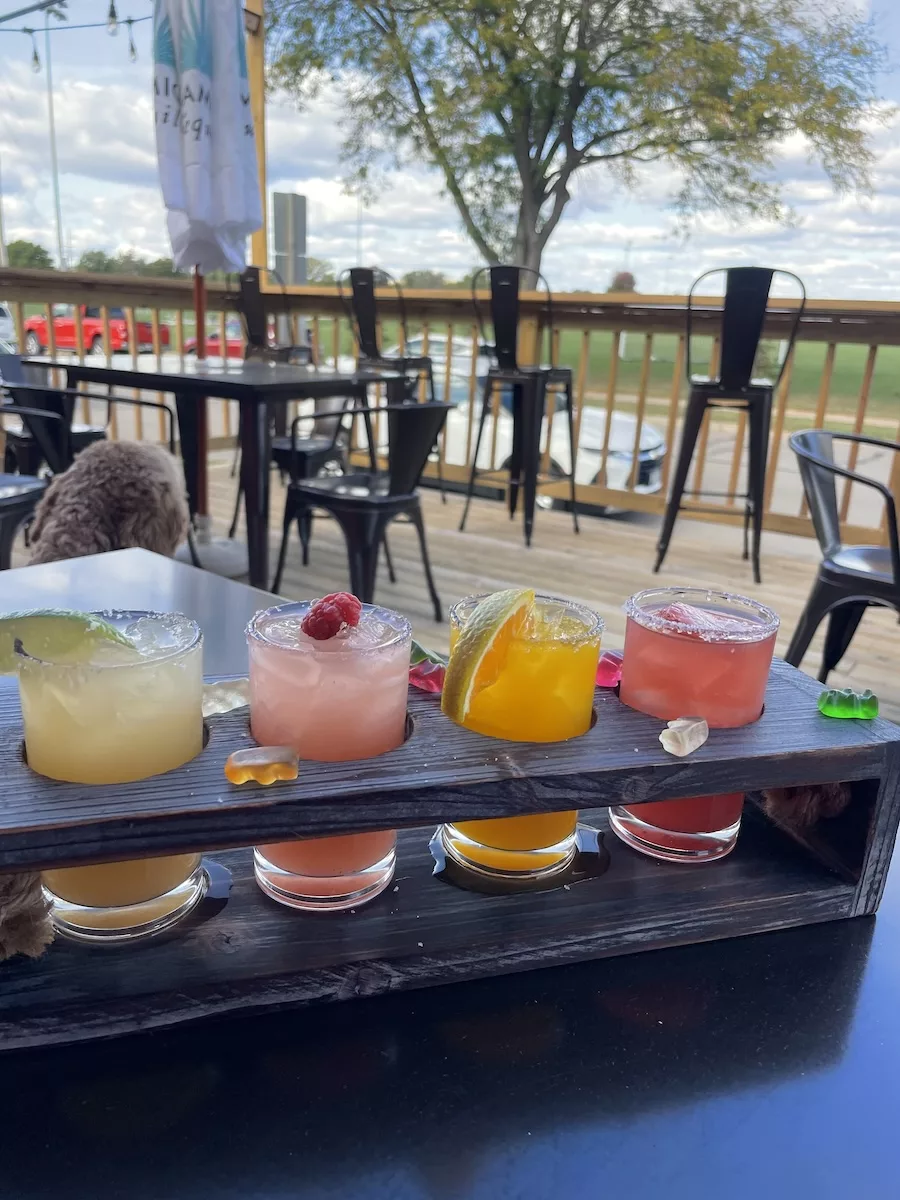 Image of four small, colorful margarita samples on outdoor deck 