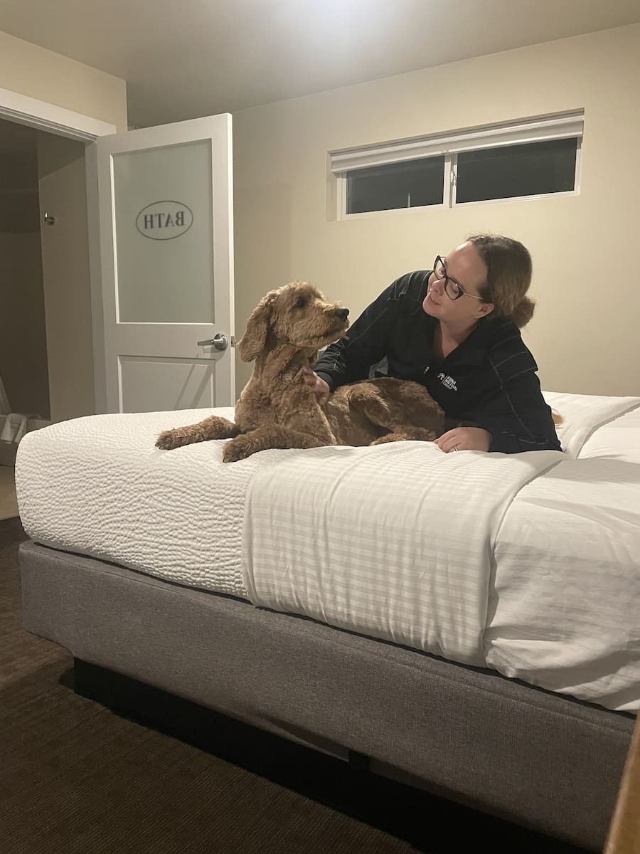 Lily and Willow in Bed at Julie's Park Motel - top dog-friendly hotels in Door County