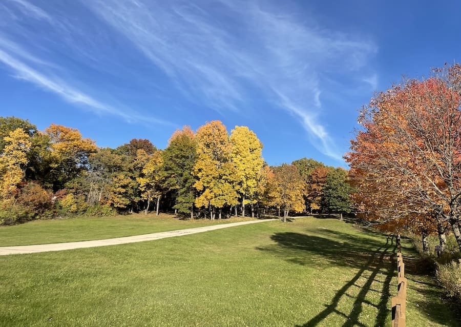 Fall Color Getaways in Wisconsin - Image of blue skies with cloud streaks and fall-colored trees.