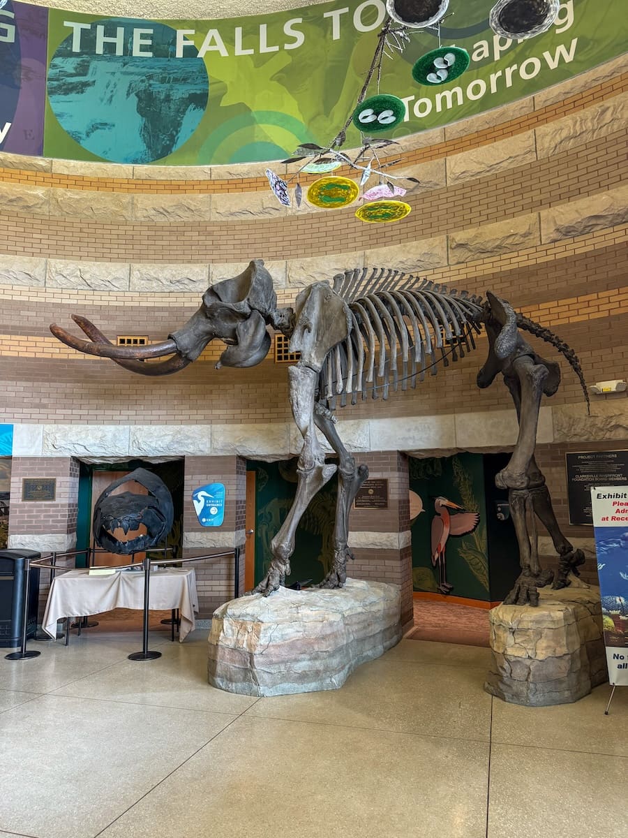 Image of mammoth skeleton at the interpretive center at Falls of the Ohio State Park