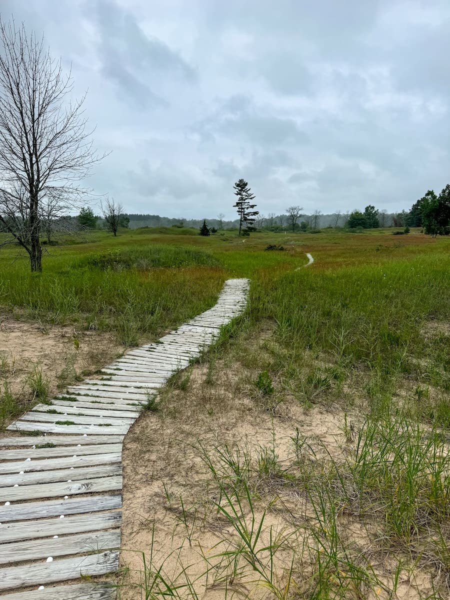 Image of corded trail surrounded by tall grasses and a cloudy blue sky in Kohler Andrae State Park. 