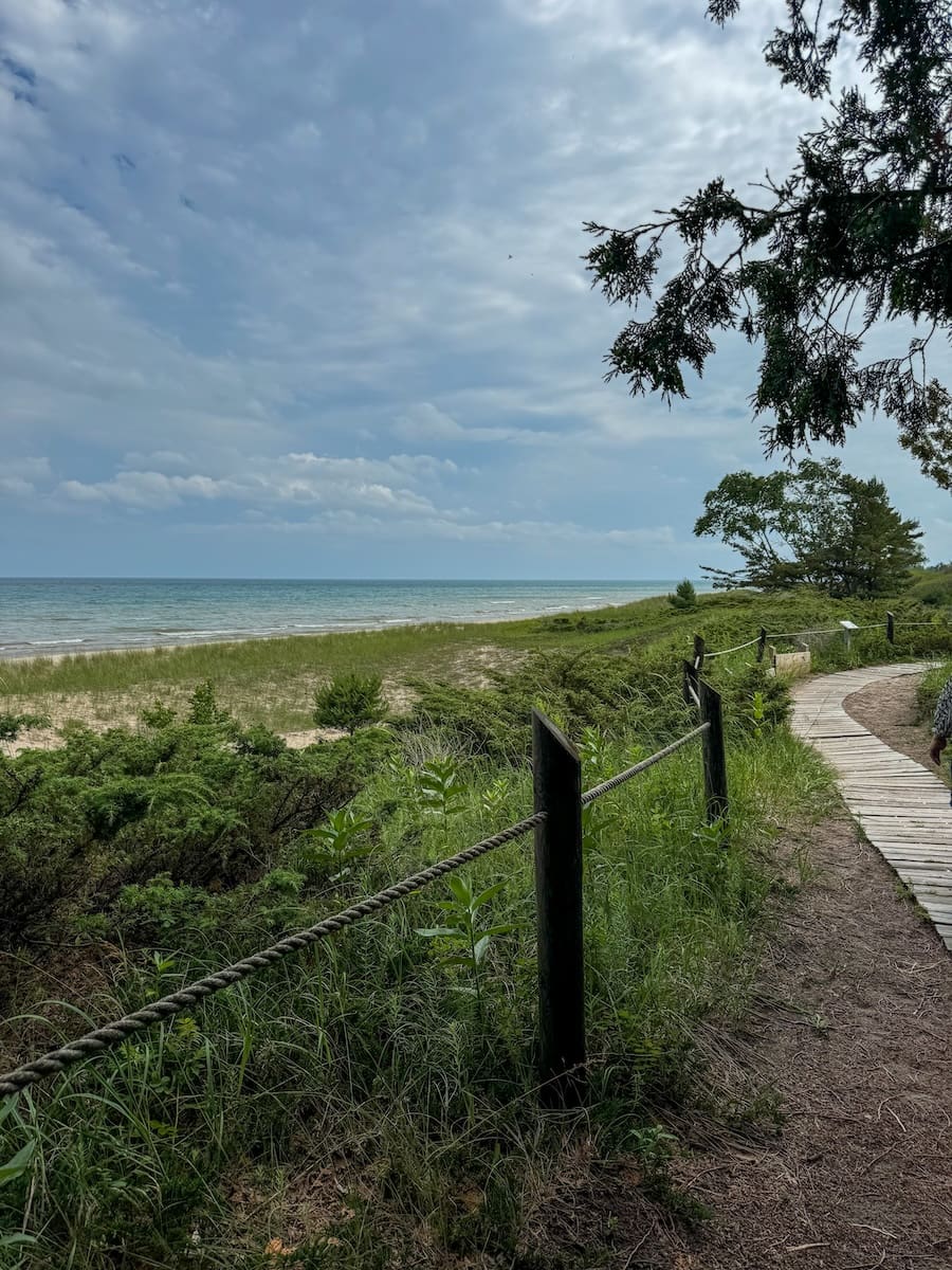 Image of corded path surrounded by trees, dunes and water at Kohler Andrae State Park in Sheboygan, WI 