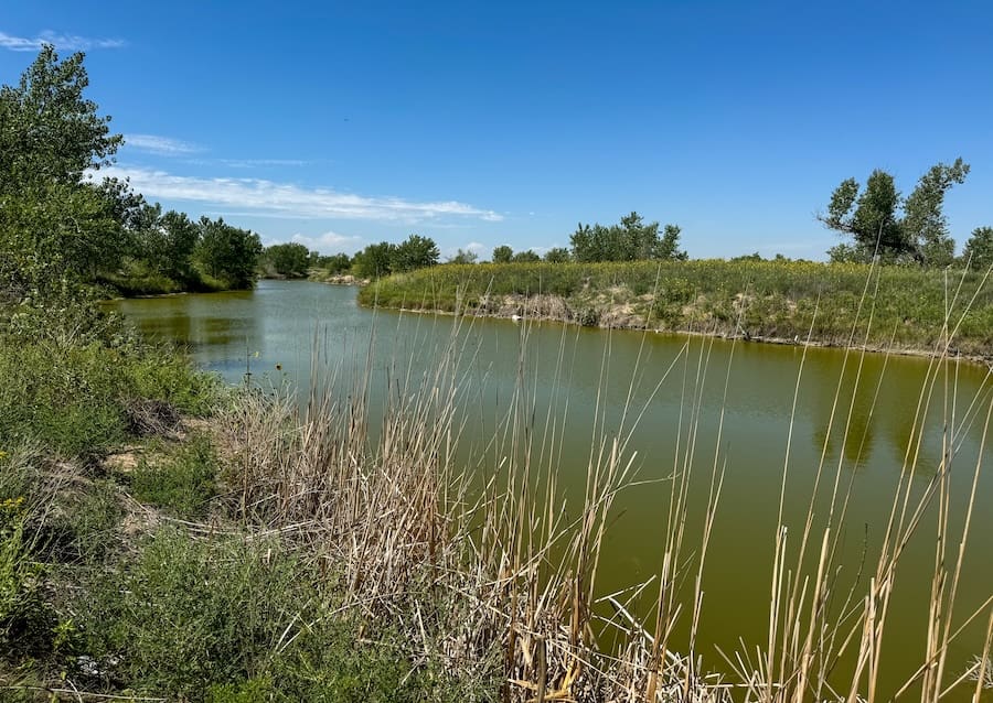 Image of a picnic area with a body of water surrounded by tall grasses at Cimarron National Grassland in Kansas