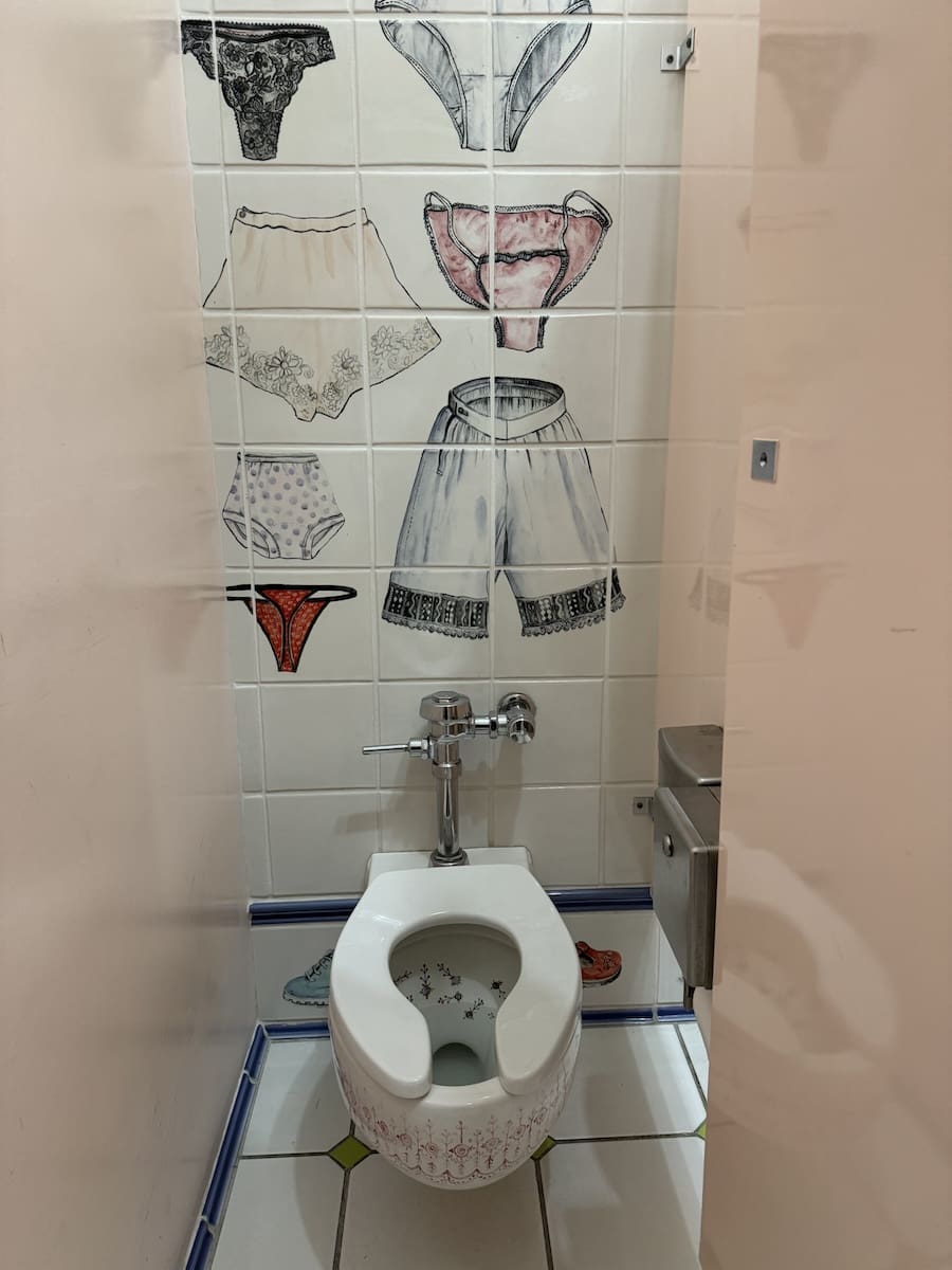 Image of bathroom stall with toilet and wall decorated with female undergarments