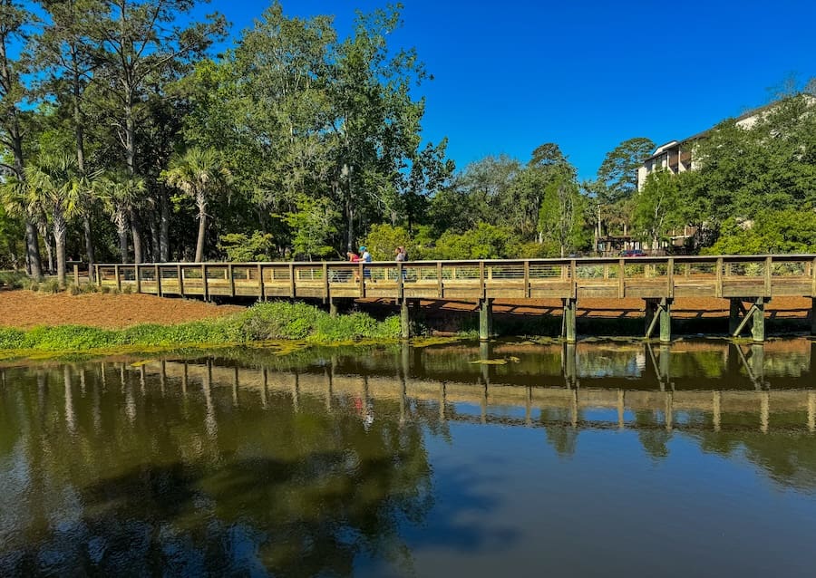 Image of boardwalk over a small body of water surrounded by a blue sky in Hilton Head Island