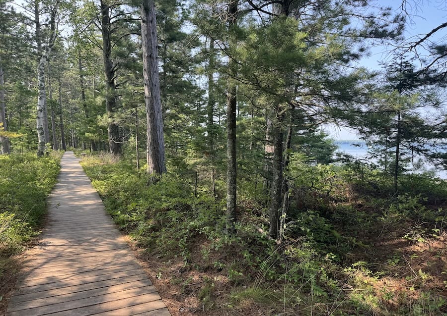 Image of boardwalk trail in Big Bay State Park with tall trees and grasses and Lake Superior popping through.