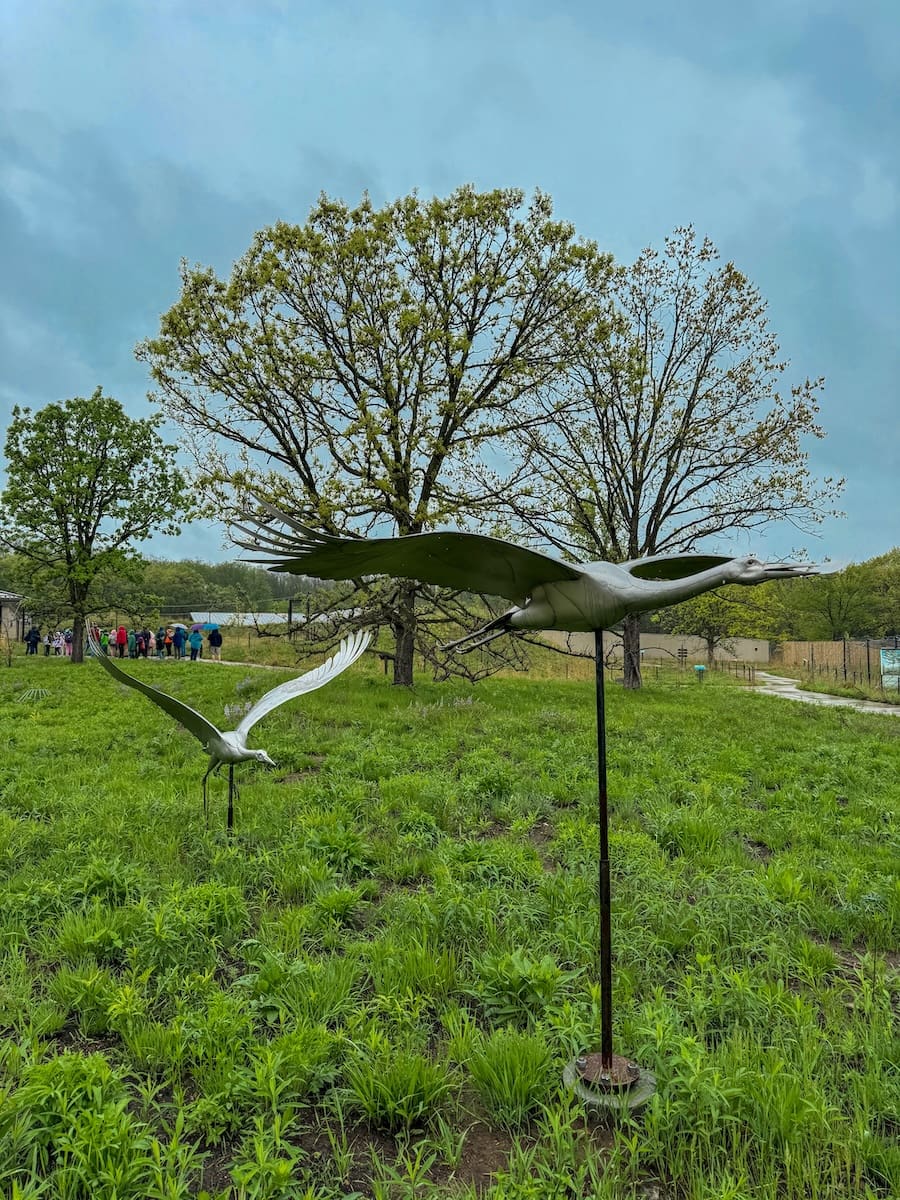 Image of two metal crane statues located outside the International Crane Museum in Baraboo, Wisconsin. 