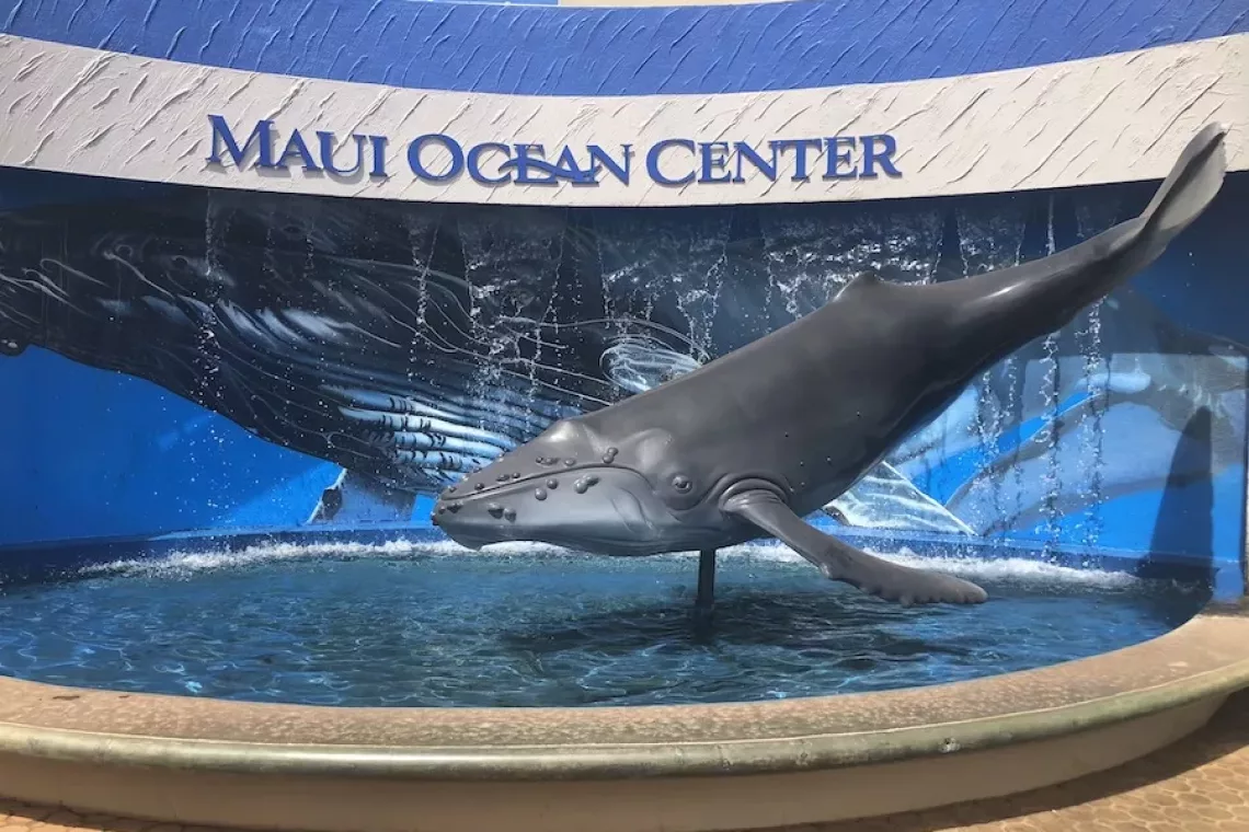 Entrance to Maui Ocean Center with Whale statue - Best Aquariums in the United States